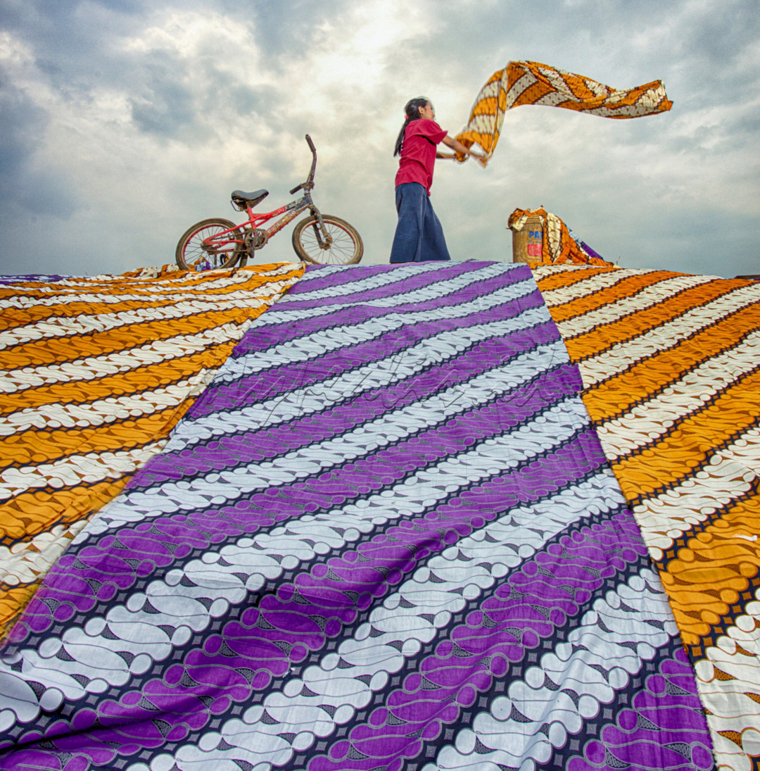 Batik Pekalongan sudah terkenal luas di masyarakat Indonesia dan Internasional. Inilah kenapa Pekalongan juga dikenal dengan sebutan "Kota Batik". Ciri khas batik Pekalongan membuatnya punya tempat tersendiri bagi penggemar batik