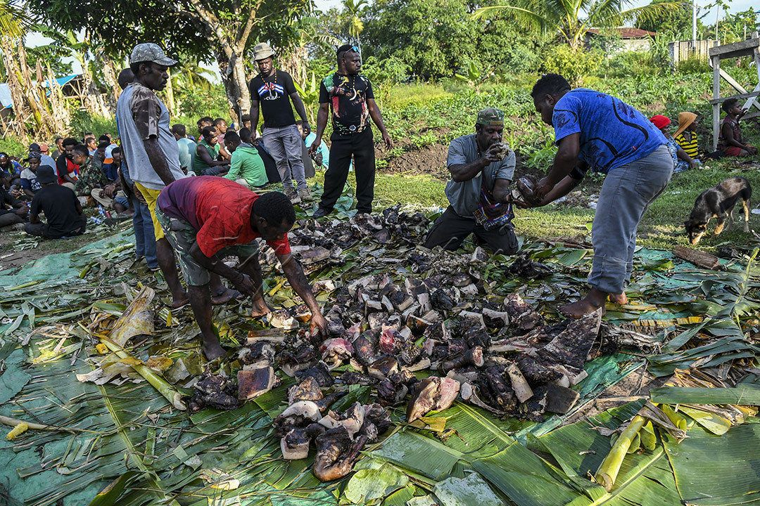 Warga menggelar pesta bakar batu di Kabupaten Merauke, Papua, Rabu (13/10/2021). Pesta bakar batu tersebut sebagai bentuk ucapan syukur atas keberhasilan tim sepak bola putri Papua meraih medali emas dalam ajang sepak bola putri PON Papua.&nbsp;