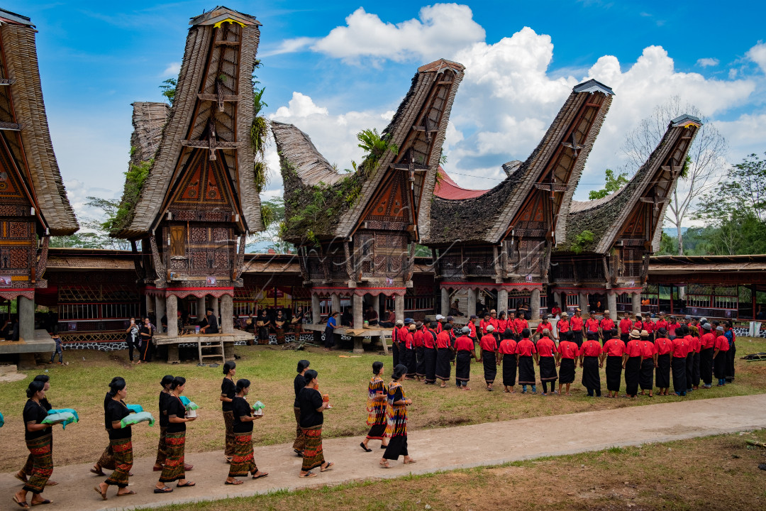 Rambusolo merupakan prosesi acara kematian yang dilakukan di daerah tana toraja sulawesi selatan