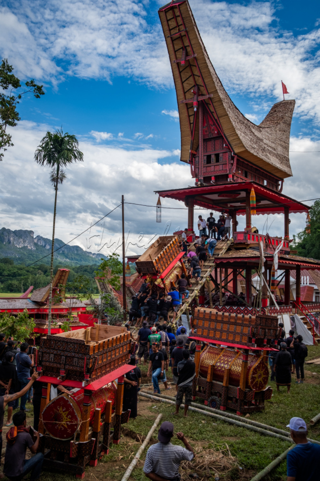 Ma'palao merupakan prosesi memindahkan mayat ke lokasi acara rambusolo dan dinaikkan ke atas lakkian