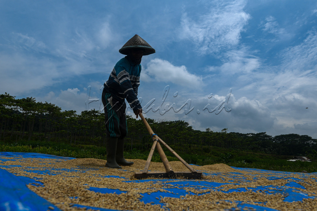 Indonesia&nbsp;merupakan&nbsp;negara agraris, yang artinya sektor pertanian memegang peranan penting dari keseluruhan perekonomian nasional. Hal ini dapat ditunjukkan dari banyaknya penduduk atau tenaga kerja yang hidup bekerja dalam sektor pertanian