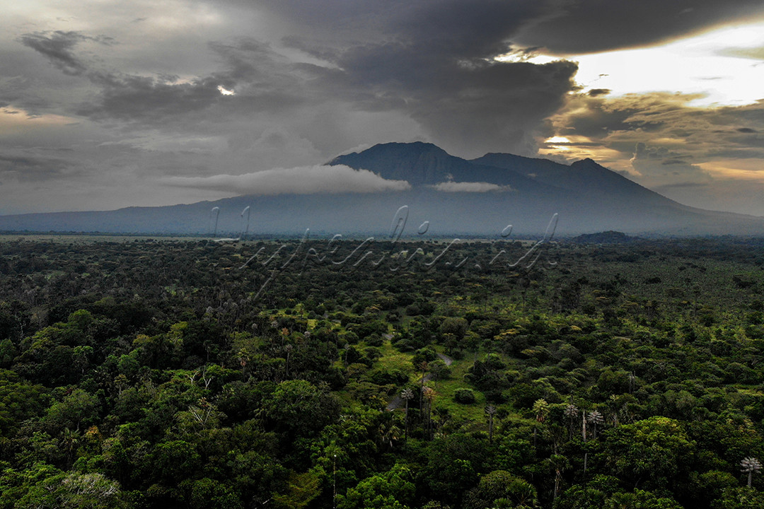 Taman Nasional Baluran&nbsp;adalah salah satu&nbsp;taman nasional&nbsp;di&nbsp;Indonesia&nbsp;yang terletak di wilayah&nbsp;Banyuputih, Situbondo,&nbsp;Jawa Timur,&nbsp;Indonesia. Namanya diambil dari nama gunung yang berada di daerah ini, yaitu&nbsp;Gunung Baluran dan sering dijuluki Afrika Kecil