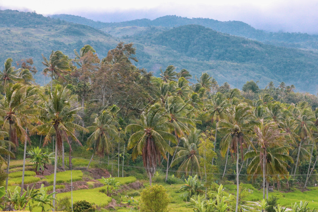 Kecamatan ini terletak di lereng&nbsp;Gunung Talang&nbsp;sehingga pada umumnya berhawa sejuk.