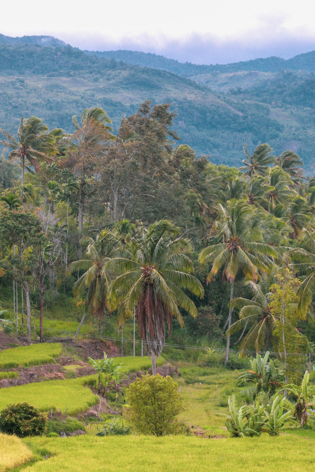 Tidak hanya sejuk, ternyata di kawasan kecamatan Gunung Talang menampilkan keindahan alam.
