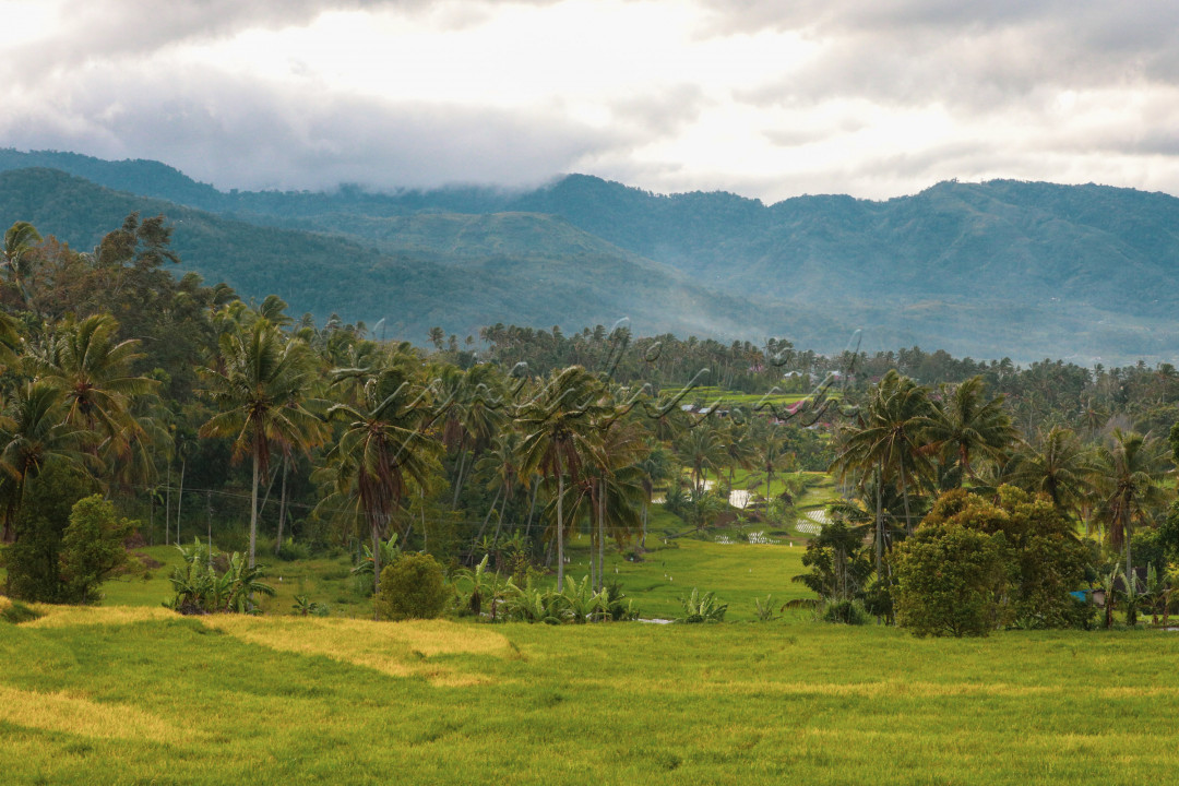 Wisatawan yang melintasi kawasan ini akan banyak melihat hijaunya pemandangan alam berlatar bukit - bukit dan merasakan sejuknya udara di lereng Gunung Talang.