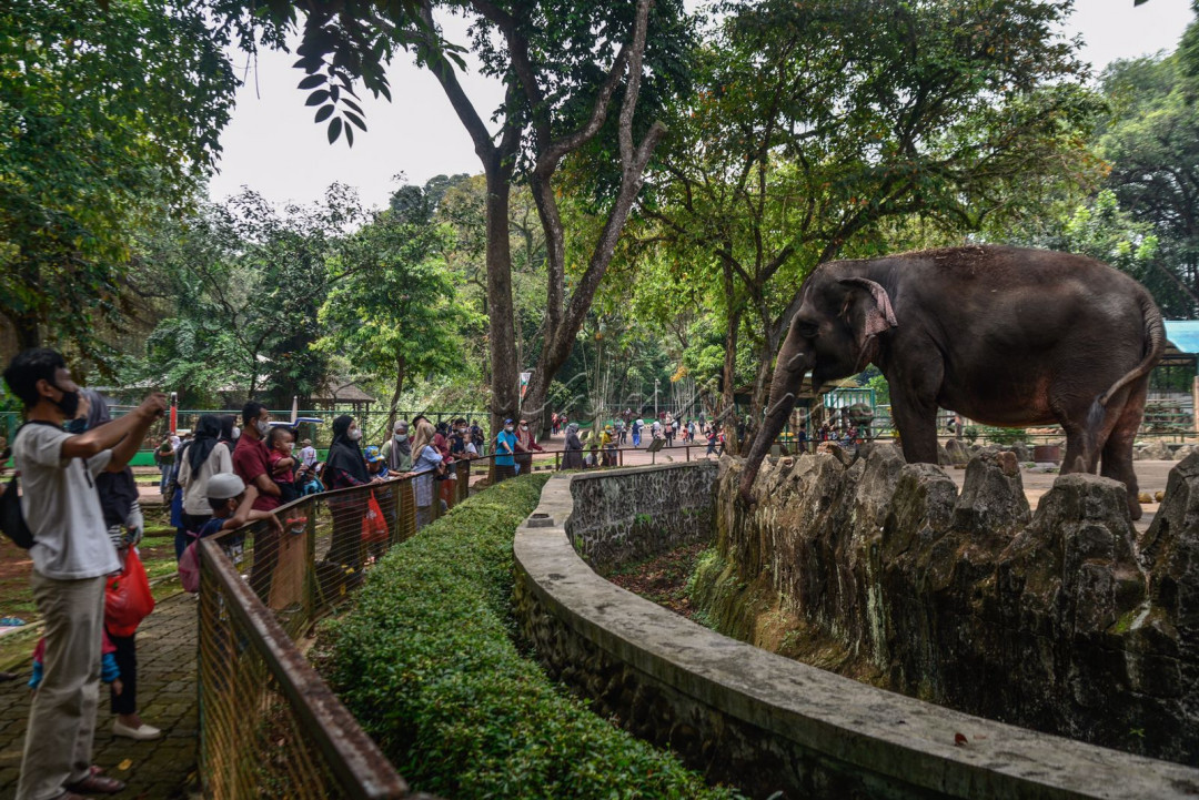 Memasuki hari libur nasional dimanfaatkan sejumlah warga untuk berlibur ke Taman Margasatwa Ragunan.