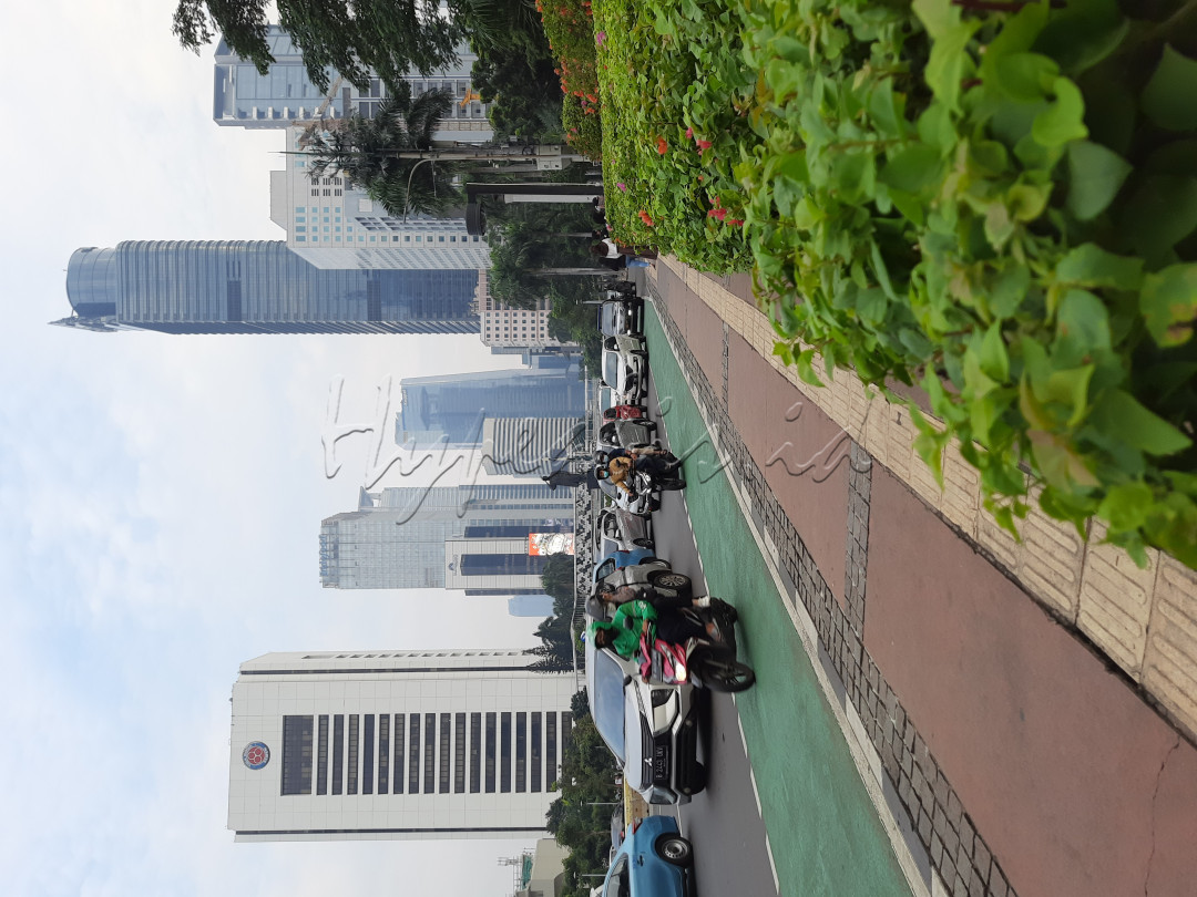 Jalan Jenderal Sudirman atau Jalan Sudirman adalah nama salah satu jalan utama Jakarta dan merupakan pusat bisnis di kota ini.<br />
Banyak pengunjung yang menghabiskan waktunya di kawasan ini untuk mengambil foto maupun video.