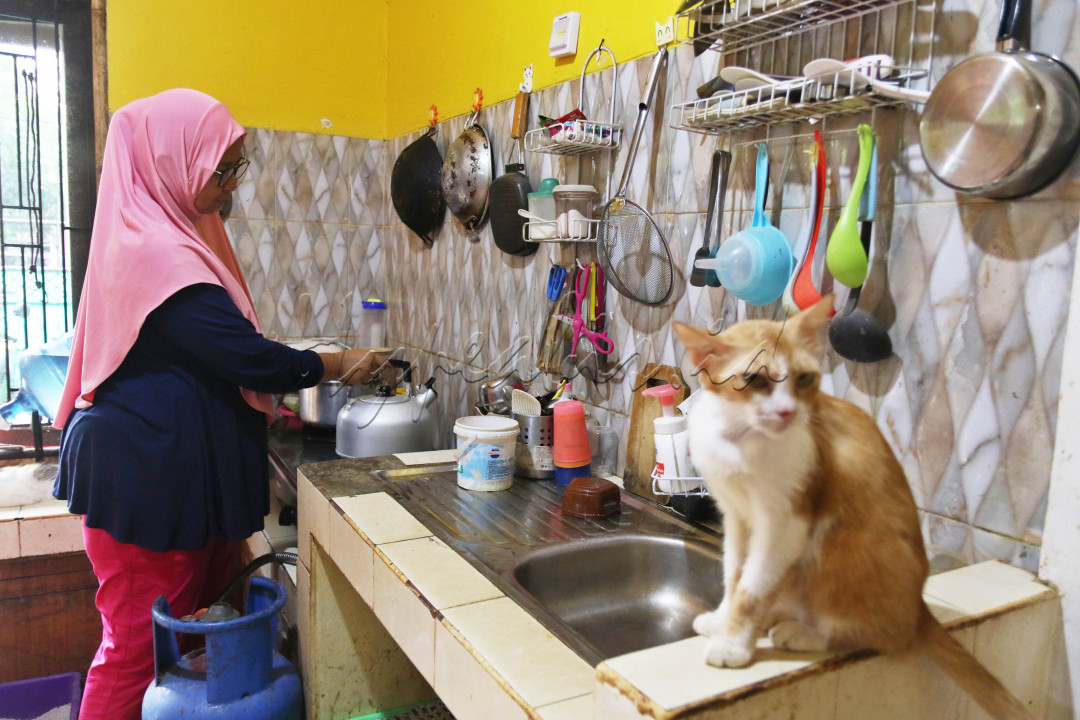Adalah Dita Agusta, pendiri Rumah Kucing&nbsp;Parung (RKP) sejak 2015. Semua ini dilakukannya atas dasar kepedulian dan kecintaannya pada hewan berkaki empat itu. "RKP difungsikan sebagai tempat tinggal atau shelter bagi ratusan&nbsp;kucing," ujar Dita.