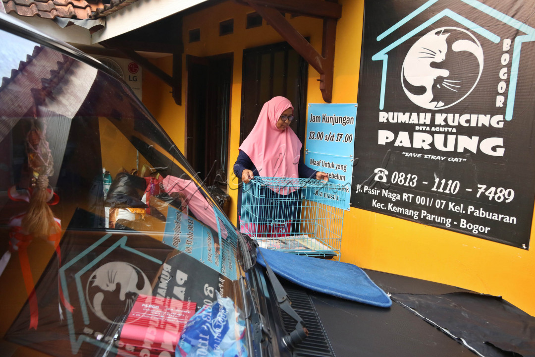 Rumah&nbsp;Kucing&nbsp;Parung ini diharapkan dapat mengajak dan menyadarkan masyarakat agar ikut serta dalam membantu keberadaan&nbsp;kucing, khususnya&nbsp;kucing&nbsp;kampung dengan cara mengadopsi dan memelihara&nbsp;kucing&nbsp;tersebut.<br />
&nbsp;