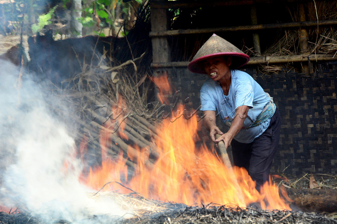 Panas api tak mereka pikirkan, yang ada hanya bagaimana cara menambah penghasilan keluarga.
<div>Gerabah bagi perempuan Dusun Sambirata, Purbalingga adalah penopang kehidupan.&nbsp;</div>