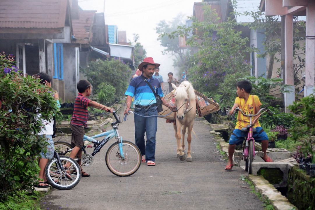 Kuda betina berbulu putih itu tampak berjalan tenang mengikuti arahan majikannya. Di punggung Luna, terdapat puluhan buku yang tertata rapi di raknya.&nbsp;
