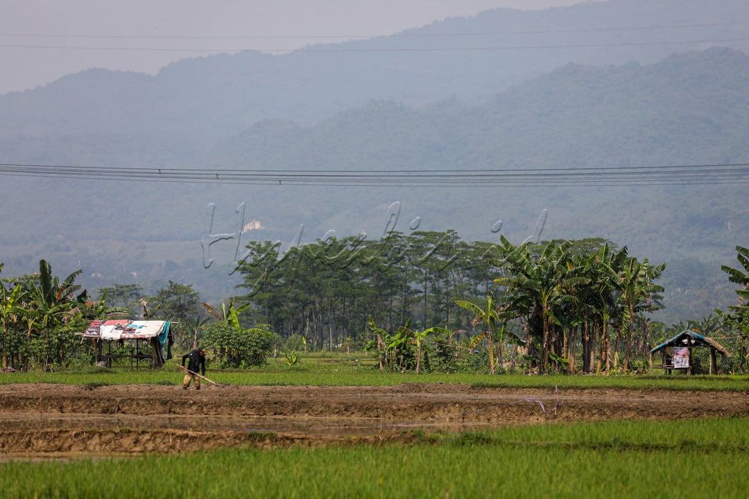Lahan pertanian yang luas serta sumber daya alam yang melimpah adalah anugrah bagi kita bangsa Indonesia.&nbsp;