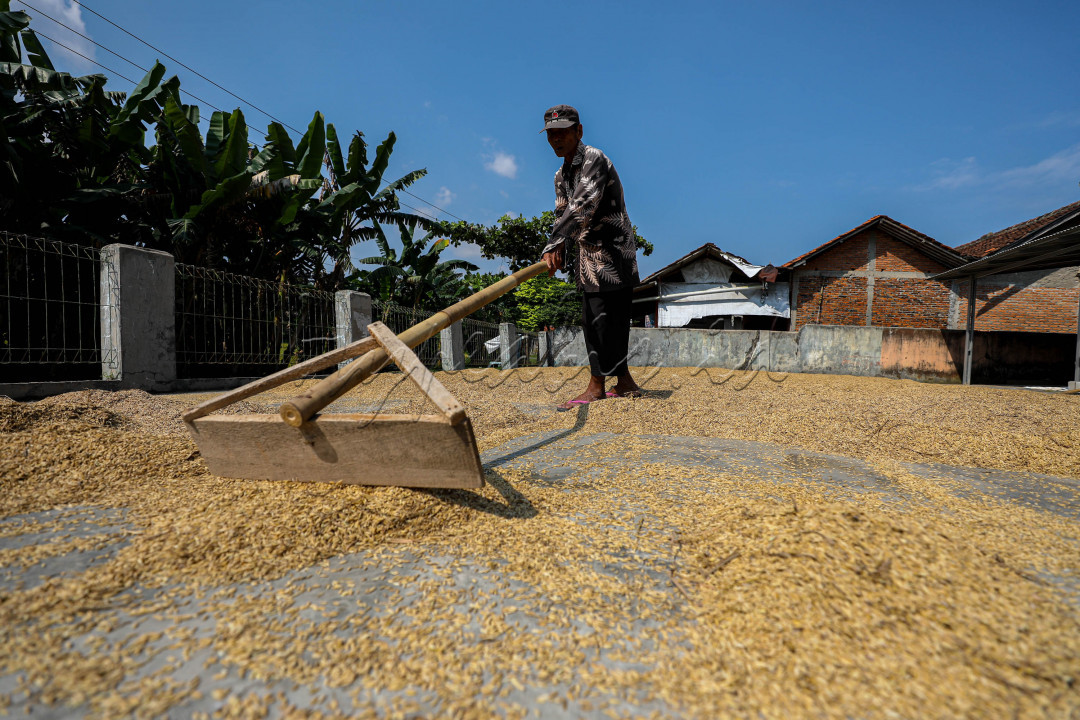 Sektor pertanian mempunyai peran penting untuk meningkatkan kesejahteraan dan ketahanan pangan, oleh karena itu peran petani menjadi sangat penting bagi negara agraris sebagai ujung tombak dalam mewujudkan ketahanan pangan.&nbsp;