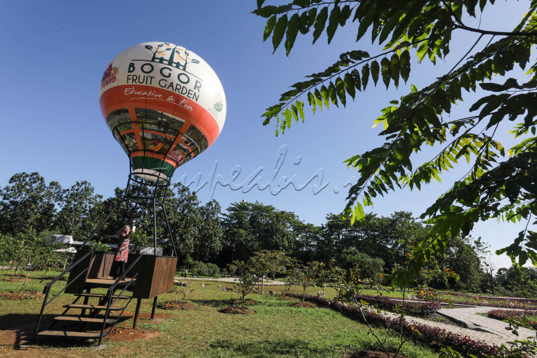 Kehadiran Bogor Fruit Garden juga akan menunjang kebutuhan siswa Sahid Islamic Boarding School yang berada tepat di samping taman ini, agar mereka dapat belajar dan praktek secara langsung.&nbsp;