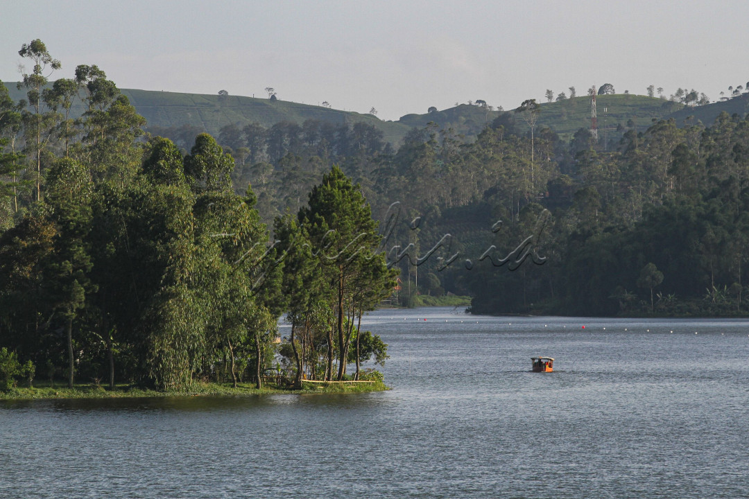 Berada pada ketinggian 1.550 Mdpl, Situ Cileunca merupakan danau buatan Pemerintah Belanda seluas 180 hektar yang membentang antara bukit dan perkebunan.