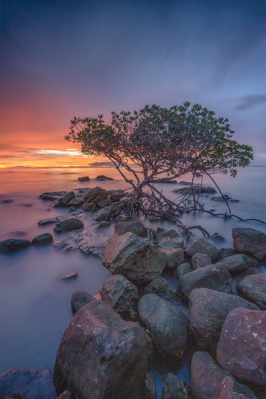 Diambil pada hari Sabtu pada tanggal 25 Juni 2022.&nbsp;<br />
Lokasi pengambilan: Bintan, Pantai Tanjung Setumu<br />
Kamera: Nikon Z7 II&nbsp;<br />
Lensa: Nikkor Z 14-30mm f4.0<br />
Filter: Athabasca<br />
Tripod: Highlight