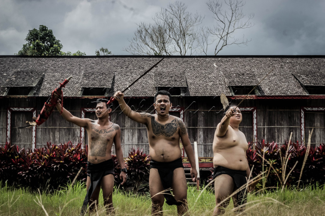 <div style="text-align: justify;">Bagi suku dayak , Tariu merupakan suatu tanda serta sarana untuk berkomunikasi dengan para leluhur maupun roh penyemangat, agar datang membantu. Roh tersebut tidak bisa dilihat dengan mata telanjang.<br />
<br />
Khusus dalam situasi tertentu seperti kerusuhan atau dalam keadaan yang genting serta situasi terdesak misalnya, maka orang dayak bisa memanggil bala bantuan dengan cara melakukan tariu. Dan bala bantuan yang datang tersebut tidak nampak, melainkan langsung memasuki tubuh orang-orang yang memanggilnya.<br />
<br />
Sehingga tidak heran menjadi kuat dan punya semangat yang pantang menyerah. Bahkan kadang kala manusia yang normal akan bisa berbuat diluar kendali pikiran. Itulah kemudian peranan tariu bagi orang dayak sangat penting dan sangat bermakna.<br />
&nbsp;</div>