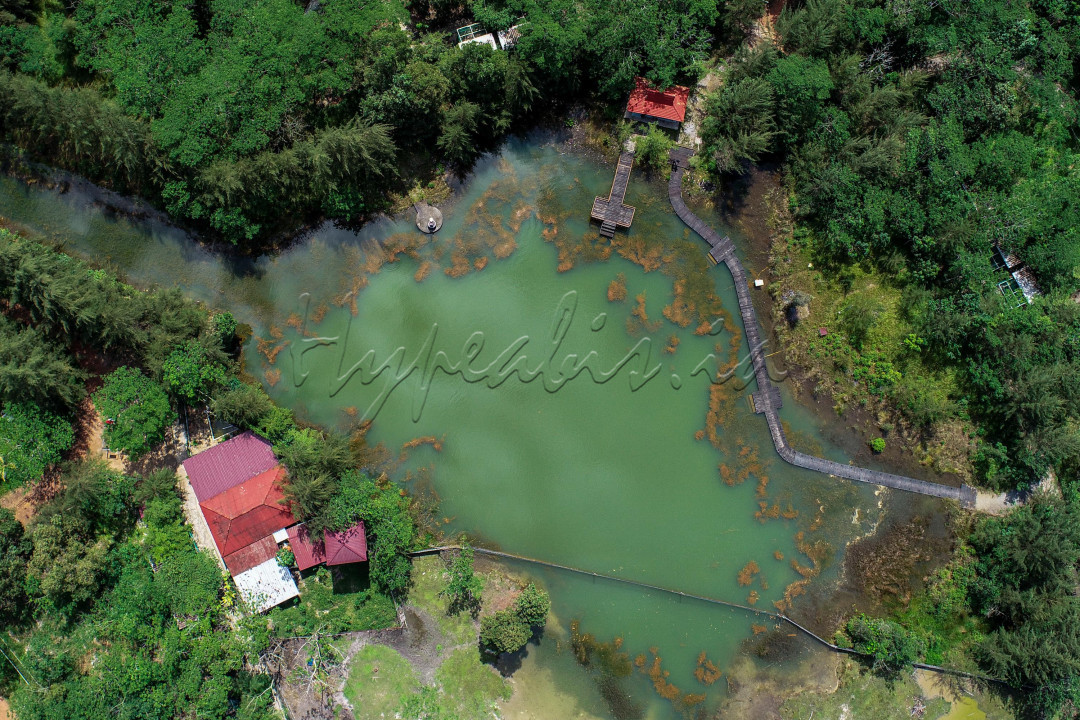 Wisatawan dapat menikmati aneka wahana yang ada dilokasi. Mulai dari areal perkebunan , perikanan,peternakan, atau hanya untuk sekedar bersantai dipondok-pondok kayu.