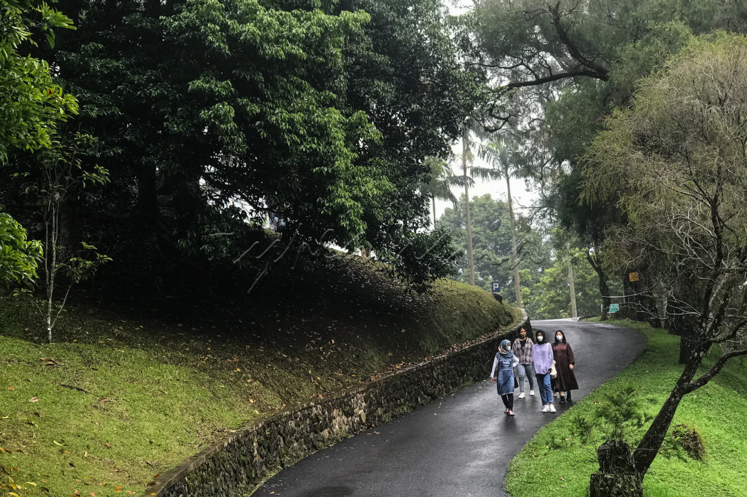 Suasana asri dan sejuk menyambut kedatangan wisatawan yang berkunjung. Selain itu, disini juga terdapat banyak spot menarik untuk berswafoto ataupun mengabadikan momen dengan prang terkasih.&nbsp;