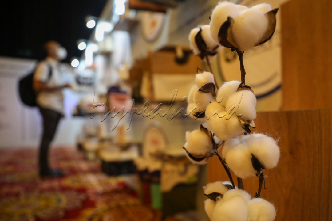Cotton Day merupakan pameran produk berbahan baku kapas atau kain katun, sebagai upaya mendorong keberlangsungan dan pengembangan industri katun, khususnya di Indonesia.