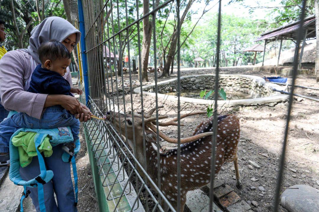 Awalnya kawasan yang dijadikan mini zoo ini merupakan bekas areal tambang. Namun areal bekas tambang tersebut disulap menjadi tempat rekreasi. Hal ini dilakukan dalam rangka menuju Tanjung Enim sebagai Kota Wisata.
<div>&nbsp;</div>

<div>&nbsp;</div>