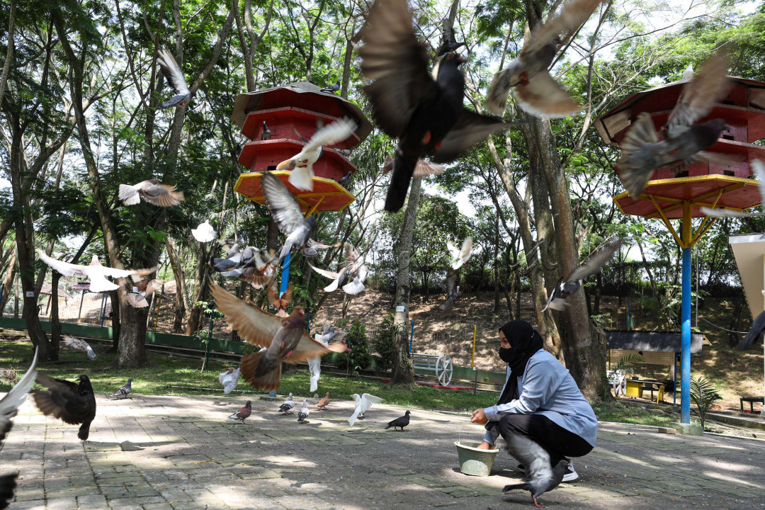 Mayoritas pengunjung merupakan warga sekitar, namun tak jarang pula ada wisatawan dari luar kota. Saat ini, pengunjung yang memasuki mini zoo tidak dipunggut biaya. Diareal wisata, terdapat banyak hewan asli nusantara.&nbsp;