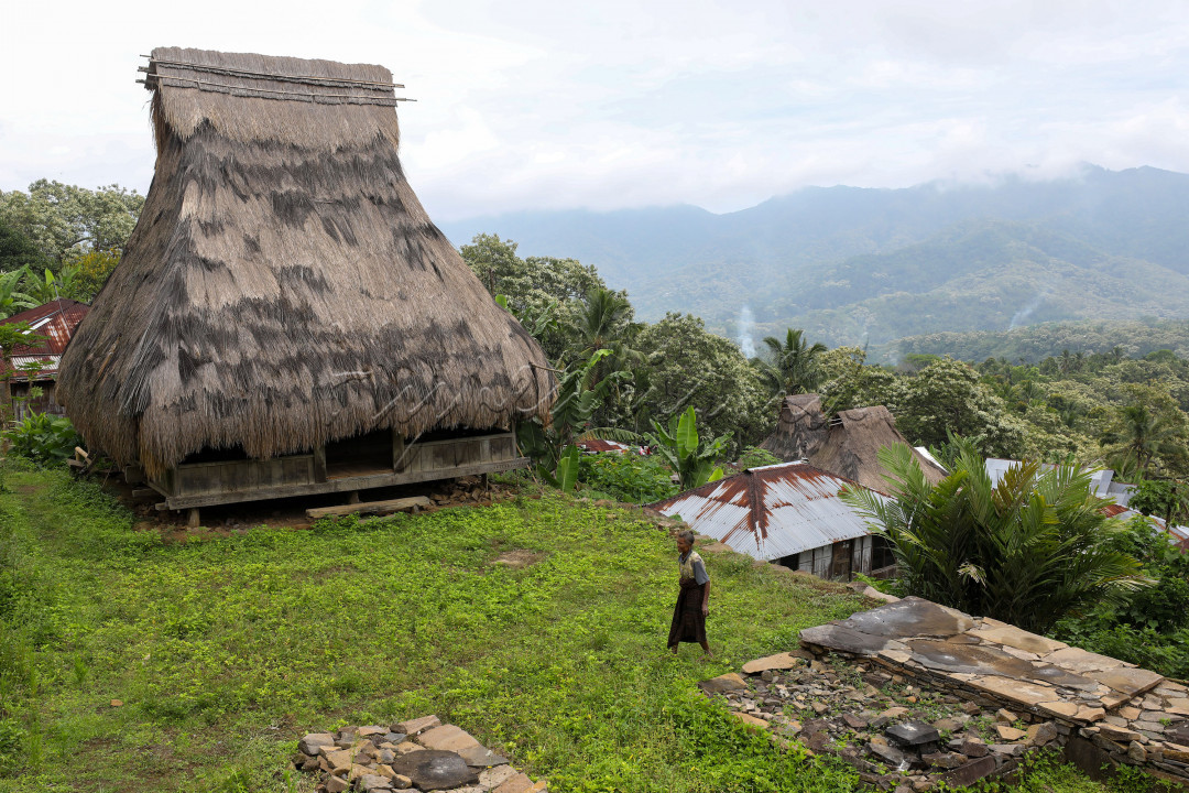 Dengan topografi perbukitan, kampung adat ini merupakan tempat tinggal dari salah satu klan dari suku tertua di Flores, yakni suku Ende-Lio.