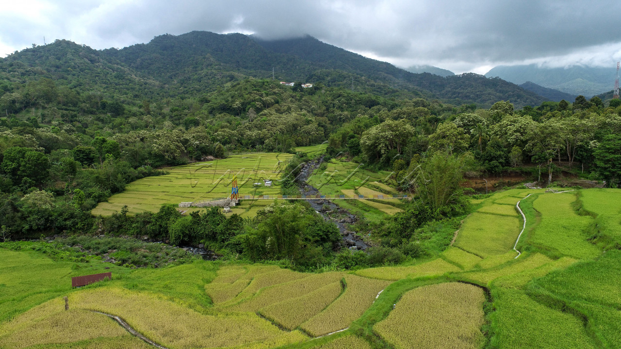 Detusoko Barat terletak di Kecamatan Detusoko, Kabupaten&nbsp;Ende, Nusa Tenggara Timur (NTT). Jaraknya hanya 33 Km dari Kota Ende. Letak desa wisata ini pun tepat di jalur Trans Flores.