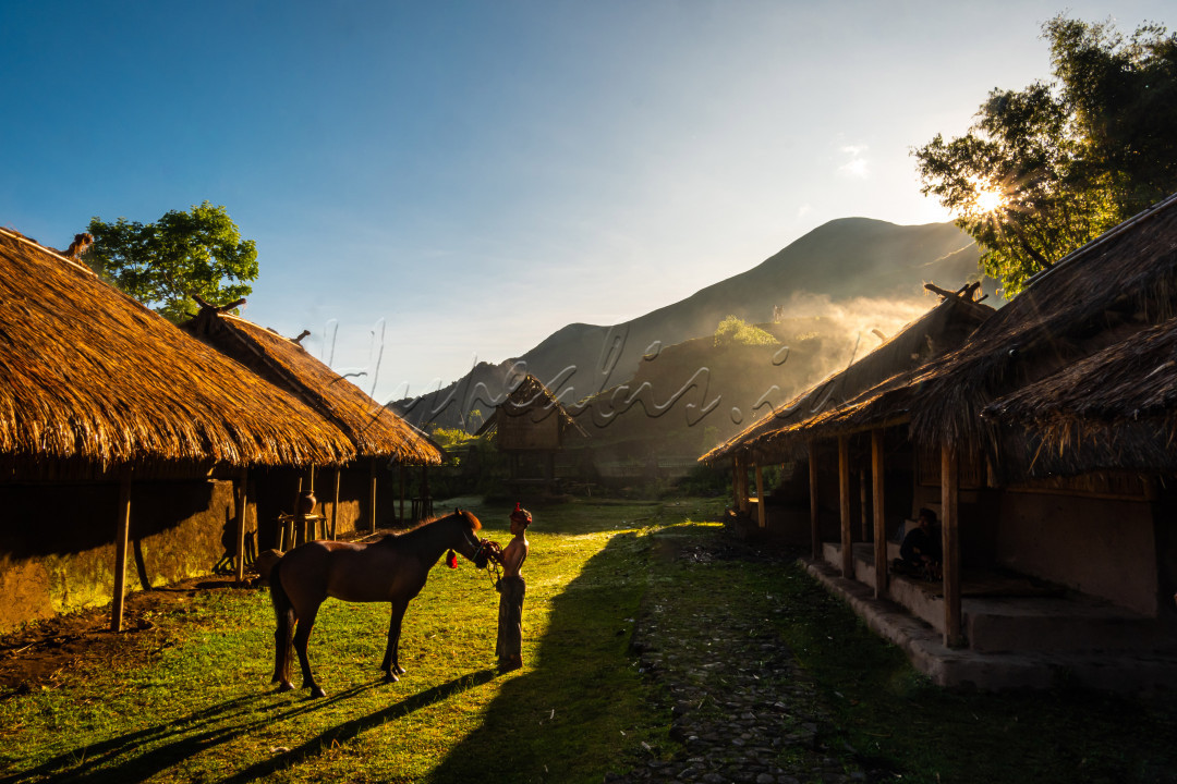 Suasana pagi dibawah kaki rinjani, dengan pemandangan rumah adat desa sembalun dengan baground perbukitan yang menambah kesan keindahan desa ini, terlihat seorang anak laki-laki sedang mengembalakan kudanya di sekitar halaman rumah adat.&nbsp;