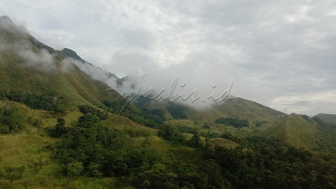 Pemandangan Pagi Di wilayah Kalumpang nampak awan embun pagi yang dialiri oleh sungai Karama nan indah&nbsp;