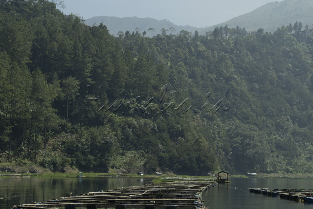 TELAGA MENJER<br />
Telaga Menjer terletak di desa Maron, Kec. Garung&nbsp; Wonosobo<br />
Jawa Tengah