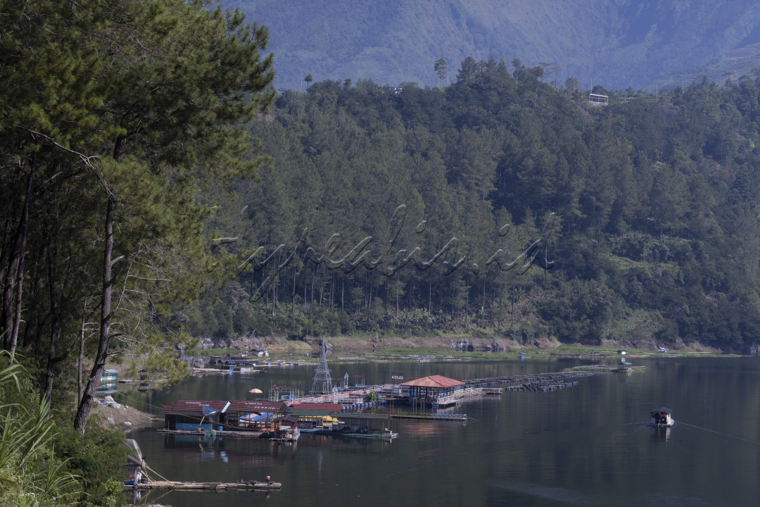 TELAGA MENJER&nbsp;<br />
Telaga Menjer terletak di desa Maron, Kec.Garung&nbsp; Wonosobo<br />
Jawa Tengah