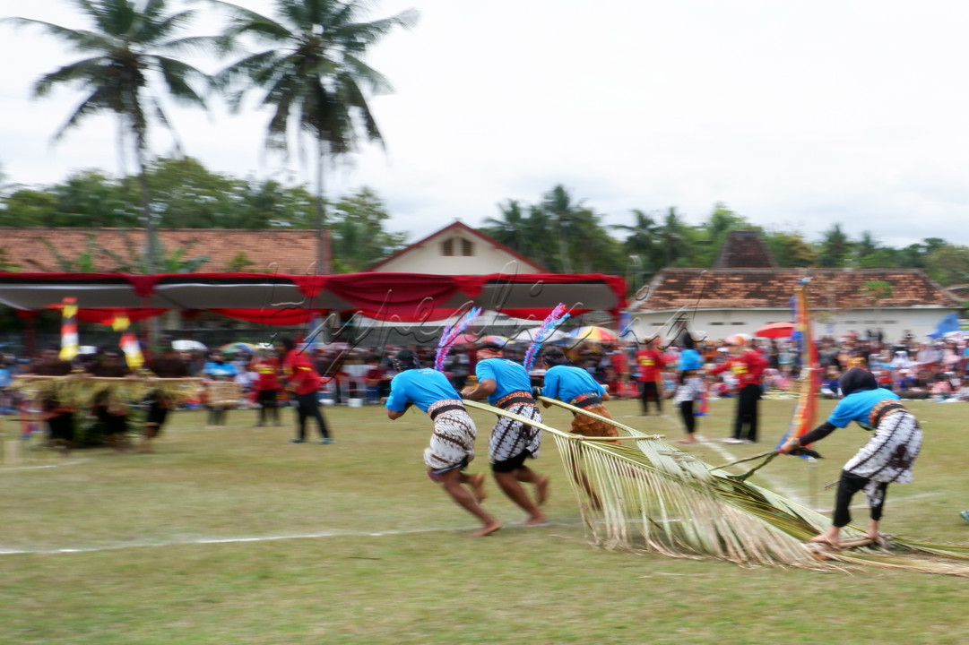 Dalam festival kesenian tradisional Nglarak Blarak, yaitu dua daun pelepah kelapa di gandeng jadi satu dan ditarik oleh tiga orang lelaki dengan cepat yang tujuannya untuk mendapatkan waktu tercepat, yang menjadi joki adalah se orang perempuan.