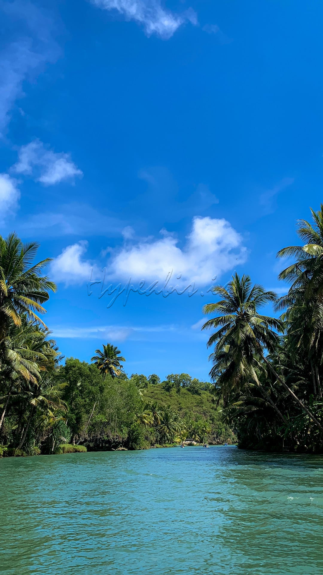 Menjelajah Alam Pacitan<br />
<br />
Pacitan memiliki beragam alam yang begitu cantik salah satunya sungai maron. Sungai Maron memiliki julukan sebagai sungai amazing pacitan karena saat kita menyusuri sungai sekitar yang hijau dan dapat merasakan jiwa petualangannya. Sungai maron terletak di desa Dersono, Pringkulu, Kabupaten Pacitan. Lokasi sungai maron tidak jauh dengan pantai klayar. Sungai maron merupakan sungai yg terhubung langsung dengan laut. Kita dapat menyusuri aliran sungai sejauh 4,5 km dengan air sungai ada yg bewarna hijau dan biru dan terdapat mata air di sekitar sungai maron. Bagi kita yang ingin mengunjungi sungai maron harga tiket nya 5.000/ orang, parkir 3.000/motor dan naik perahu 100.000/ 4 orang.