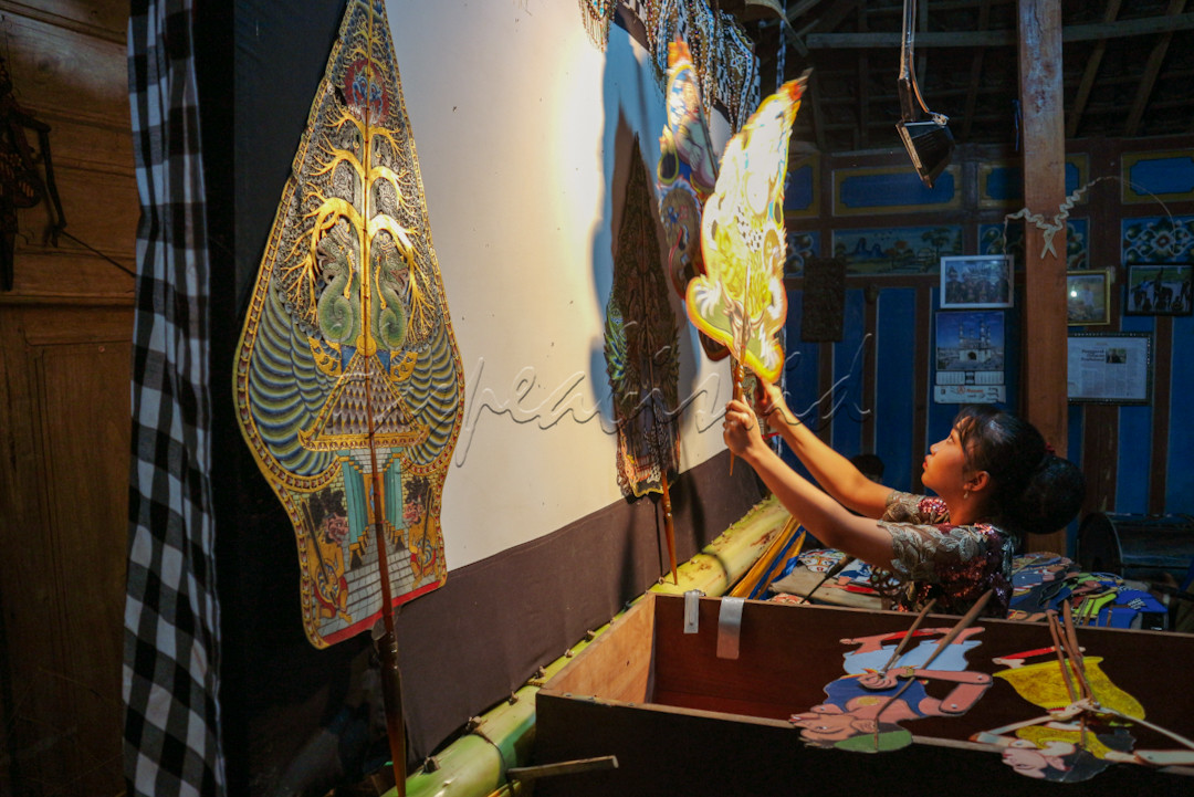 Seorang dalang wanita sedang melakukan pagelaran wayang kulit. Wayang kulit merupakan salah satu budaya asli Indonesia. Dalam penampilannya wayang kulit berkisah tentang falsafah kehidupan Nusantara.<br />
&nbsp;