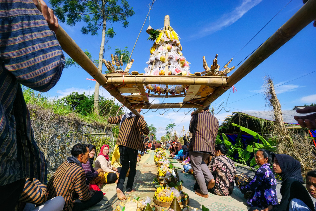 "Umbul Dongo"<br />
<br />
Warga Desa Candisari dilereng Gunung Merapi sedang melaksanakan tradisi Umbul Dongo setelah panen tembakau melimpah untuk tahun ini.