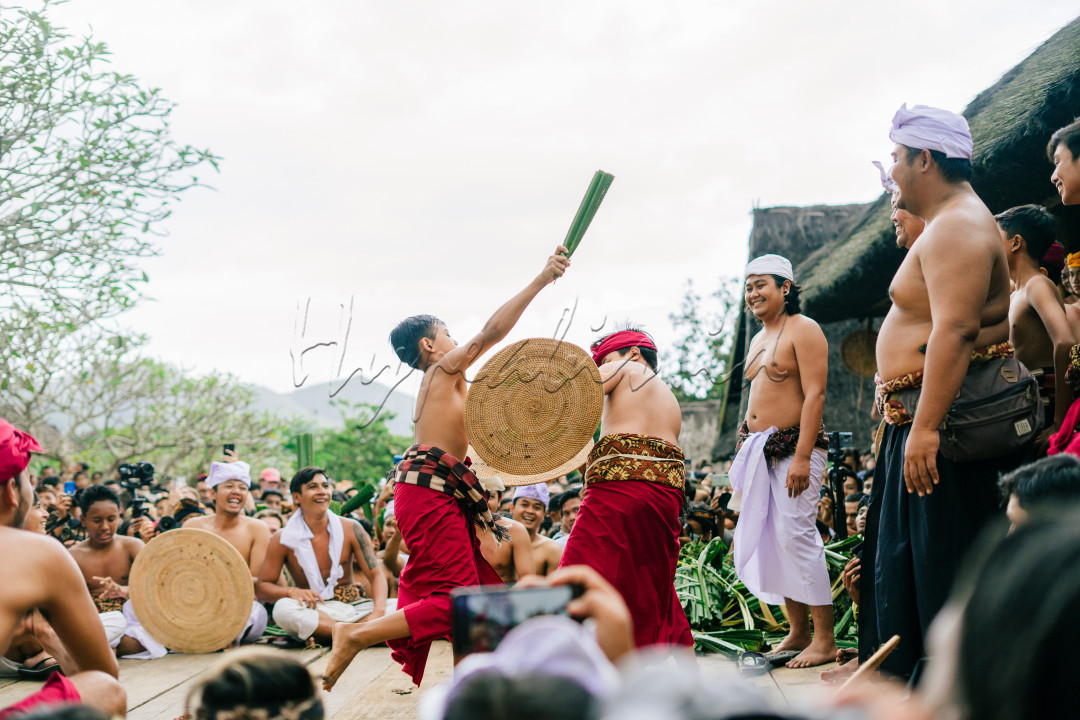 Tenganan Pegringsingan merupakan salah satu desa tua di Provinsi Bali, yeng terkenal dengan tradisi Mageret Pandan. Mageret Pandan (Perang pandan) adalah salah satu tradisi kearifan lokal yang masih bertahan di tengah gempuran globalisasi saat ini. Sebagai salah satu tradisi asli dari Desa Tenganan, Kecamatan Karangasem, Bali, Mageret Pandan kerap kali mendatangkan berbagai &nbsp;wisatawan mancanegara tiap kali upacaranya diselenggarakan. Tak khayal banyak pengaruh modernisasi yang masuk ke desa wisata ini, salah satunya seringkali wisatawan membawa berbagai macam kamera guna mengabadikan momen mageret pandan ini. Sehingga upacara kesenian ini mampu berkelana ke berbagai penjuru dunia melalui gambar serta film yang dihasilkan oleh para wisatawan yang berkunjung.<br />
<br />
Perang pandan dilakukan sebagai simbolisasi penghormatan kepada dewa Indra atau Dewa perang. Perang pandan merupakan bagian dari ritual Sasih Sembah. Sasih sembah ialah ritual terbesar yang ada di Desa Tenganan.<br />
#???????????????????????????????????????????????????????????????????????????????????????????? #???????????????????????????????????????????????????????????????????????????? #????????????????????????????????????????<br />
<br />
Nama : Kadek Gopala Sai Wiswadara Arista&nbsp;<br />
Asal daerah : Bali<br />
Asal Universitas : Universitas Brawijaya&nbsp;<br />
Lokasi Pengambilan Foto : Desa Tenganan, Kecamatan Karangasem, Bali.&nbsp;<br />
Tanggal Pengambilan foto : 24 Juni 2022
