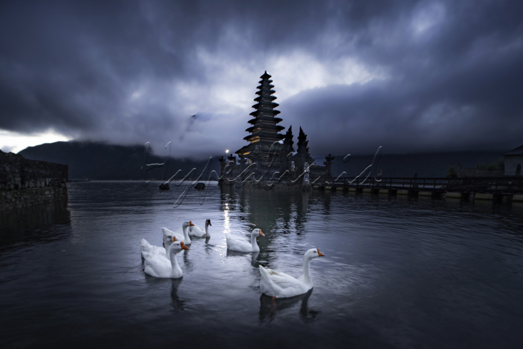 Bali menawarkan banyak tempat cantik yang bisa kita kunjungi, salah satunya adalah Pura Jati, terlihat begitu cantik dan penuh pesona terletak di tepi danau Batur, bagi para wisatawan tentu Pura Jati Batur ini bisa menjadi tujuan wisata menarik karena keindahan dan keunikan yang ditawarkan. Selain itu kawanan angsa putih yg berenang bebas di tepian danau menjadi daya tarik tersendiri.