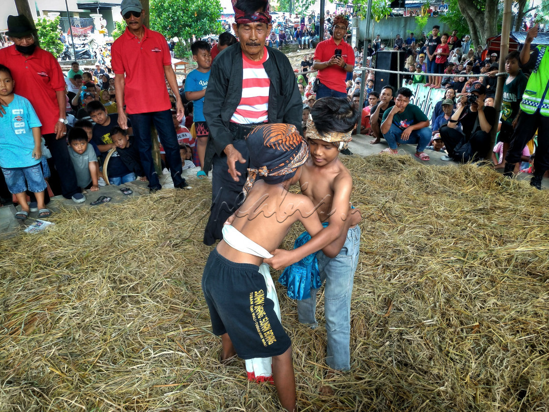 <div style="text-align: justify;">Di tengah derasnya arus moderenisasi dan budaya asing, warga Desa Sambikerep, Kecamatan Sambikerep - Surabaya, masih mempertahankan kearifan lokal melalui Tradisi Gulat Okol saat acara Sedekah Bumi tiba. Kegiatan yang rutin dilakukan tiap tahun ini, diharapkan mampu menjadi Festival Budaya Kota Surabaya, untuk menarik perhatian turis domestik dan mancanegara.<br />
<br />
Gulat Okol ala Jawa Timur sekilas mirip dengan sumo atau gulat tradisional asal Jepang. Bedanya, Gulat Okol dipertandingkan di atas ring dengan beralaskan tumpukan jerami kering yang ditutup terpal. Peserta wajib mengenakan ikat kepala dan pengikat pinggang yang suka dikasih mantra atau doa oleh pawang gulat okol, serta bertelanjang dada (khusus laki-laki). Peserta Gulat Okol diikuti mulai anak-anak sampai dewasa, bahkan kaum wanita juga ikut serta. Suasana tradisional semakin kental dengan iringan gamelan di sepanjang pertandingan. Gulat Okol ini juga menjadi ajang silaturahmi saat acara sedekah bumi.<br />
&nbsp;</div>