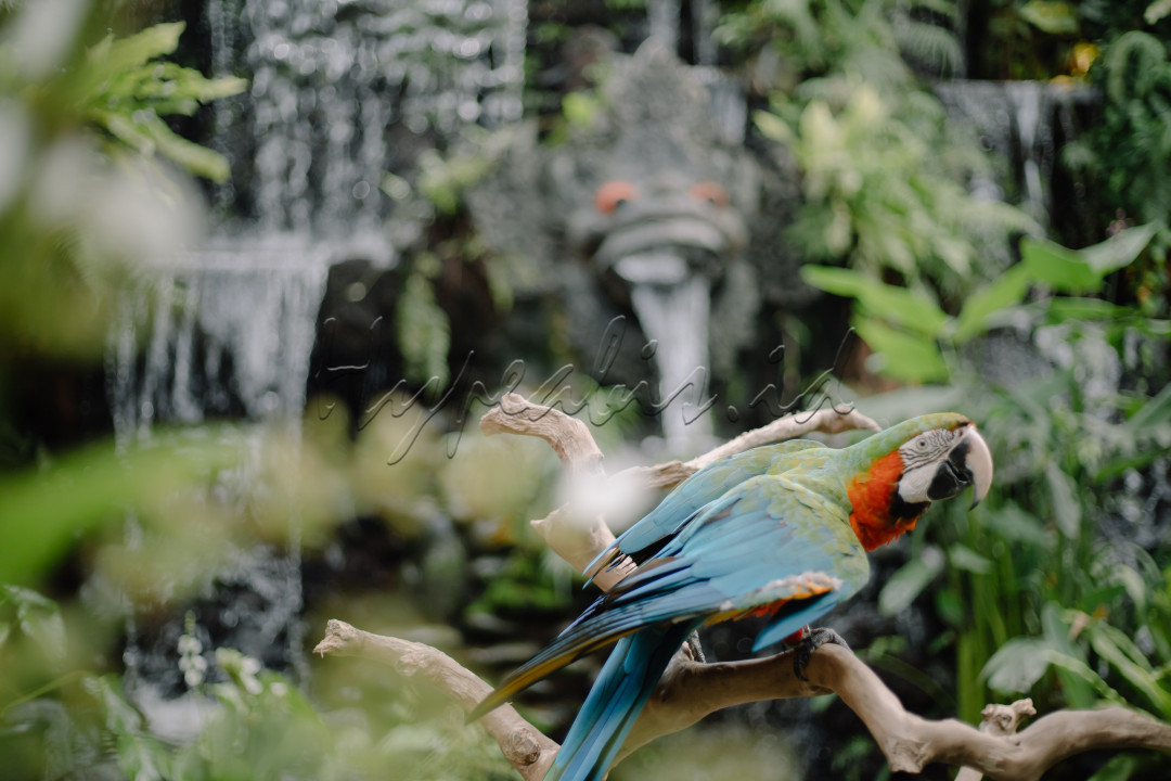Indah rupa nya alam ini di hiasi dengan ukiran ukiran budaya yang menjadi warna kearifan lokal dari setiap sisi suku dan budaya nya dengan<br />
Sejuk nya hembusan angin di hutan hutan tropis yang indah sehingga menjadi sumber kehidupan bagi sluruh makhluk yang menghuni nya