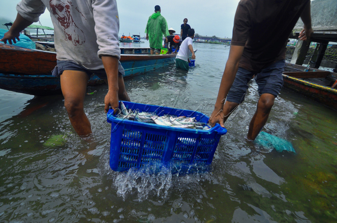 Pembongkaran ikan laut dr penangkapan ikan ini salah satu kegiatan ekonomi pemanfaatan sumber daya laut yg menangkap ikan segar untuk kepentingan masyarakat.