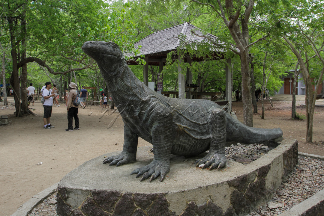 Wisatawan beraktivitas di Pulau Komodo, Labuan Bajo, Manggarat Barat, Nusa Tenggara Timur.<br />
<br />
&nbsp;