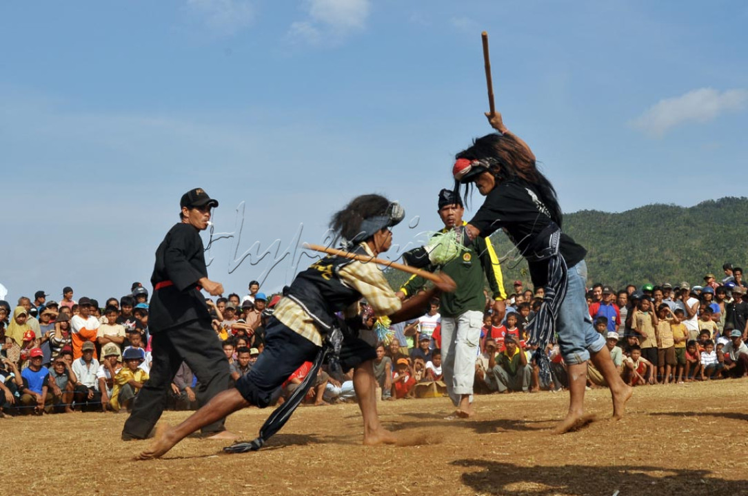 Dua orang warga bertarung menggunakan sebilah rotan di tangan kanan dan kain pelindung di tangan kiri.&nbsp; Mereka bertarung di bekas sawah yang mengering dan retak karena kemarau panjang.<br />
<br />
Mereka bukan sedang berkelahi, melainkan melakukan kesenian Ujungan. Ini merupakan ritual pemanggil hujan saat kemarau panjang.<br />
<br />
Ritual ini berasal dari daerah Banjarnegara, Jawa Tengah.&nbsp;Penduduk setempat percaya, setiap darah yang mengalir dari para petarung akan menghasilkan hujan.&nbsp;