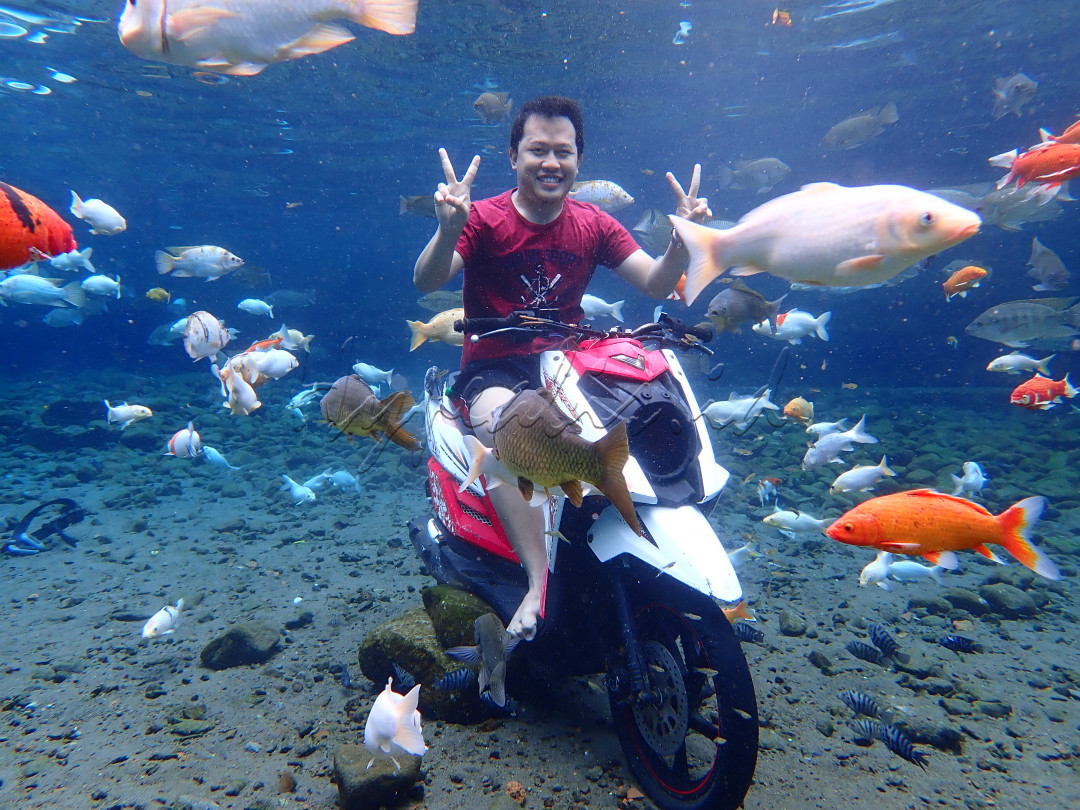 Wisata Air yang aman dan menyegarkan di UMBUL PONGGOK&nbsp;&nbsp;terletak di desa Ponggok, Klaten, Jawa Tengah. Umbul Ponggok, menyajikan pemandangan bawah air yang menyenangkan dengan di temani ikan berwarna warni, sebagian besar air di bersumber dari mata air yang di manfaatkan untuk objek wisata dan pemandian selam permukaan.