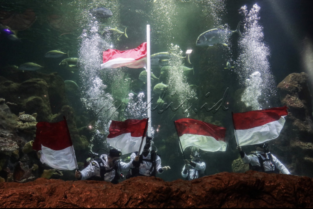 Hypeabis Pengibaran Bendera Merah Putih Di Akuarium Raksasa