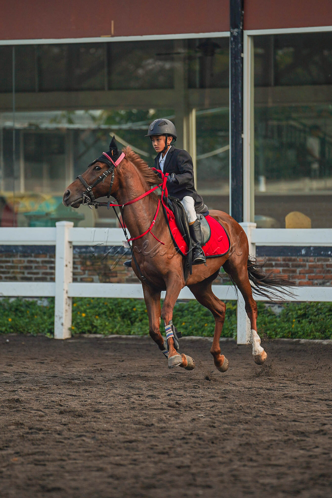 seorang peserta muda melakukan aksi berkuda pada surabaya jumping master 2nd series 2023 di surabaya equestrian complex .&nbsp;