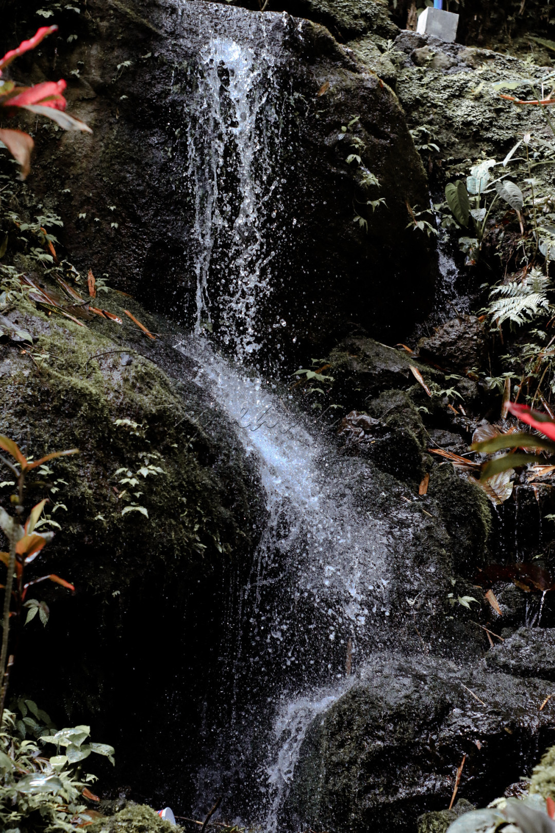 sebuah mata air pegunungan yang langsung menghubungkan dengan curug telu baturraden&nbsp;