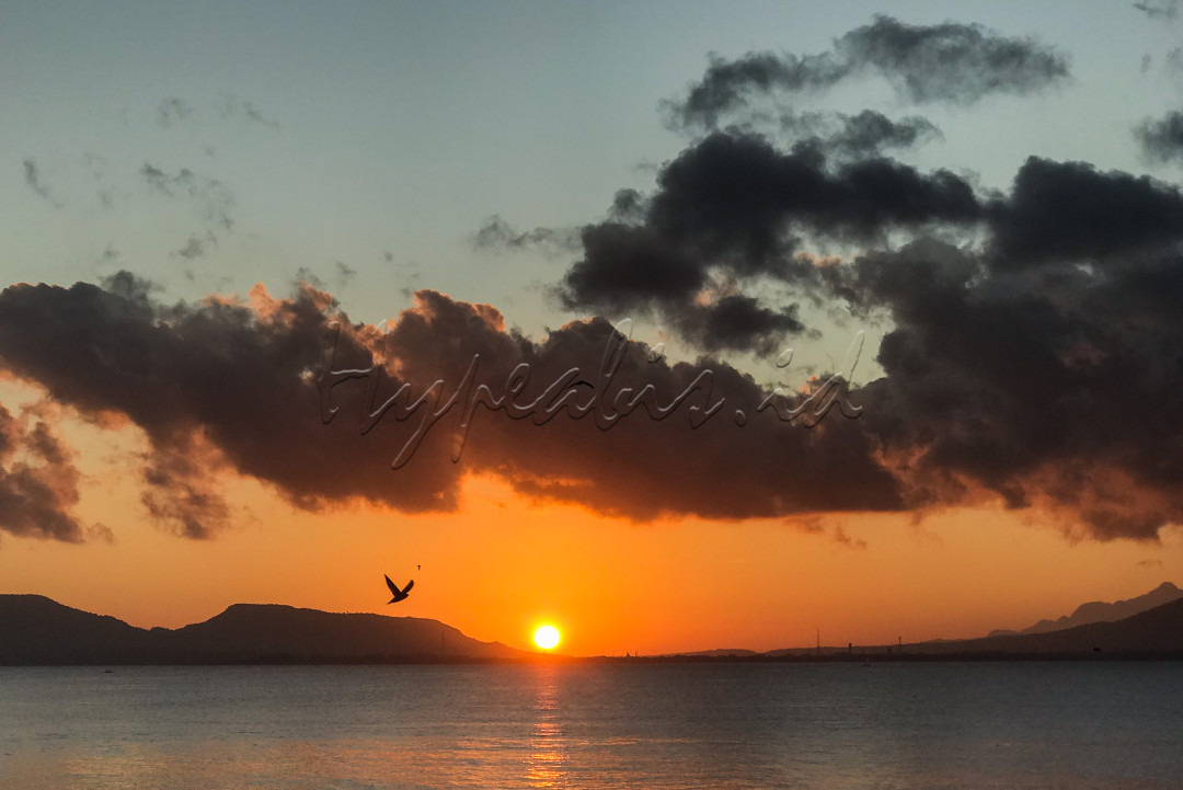Kota yang terkenal dengan sebutan Kota Sunrise of Java tersebut memliki keindahan alam yang menawan.&nbsp;