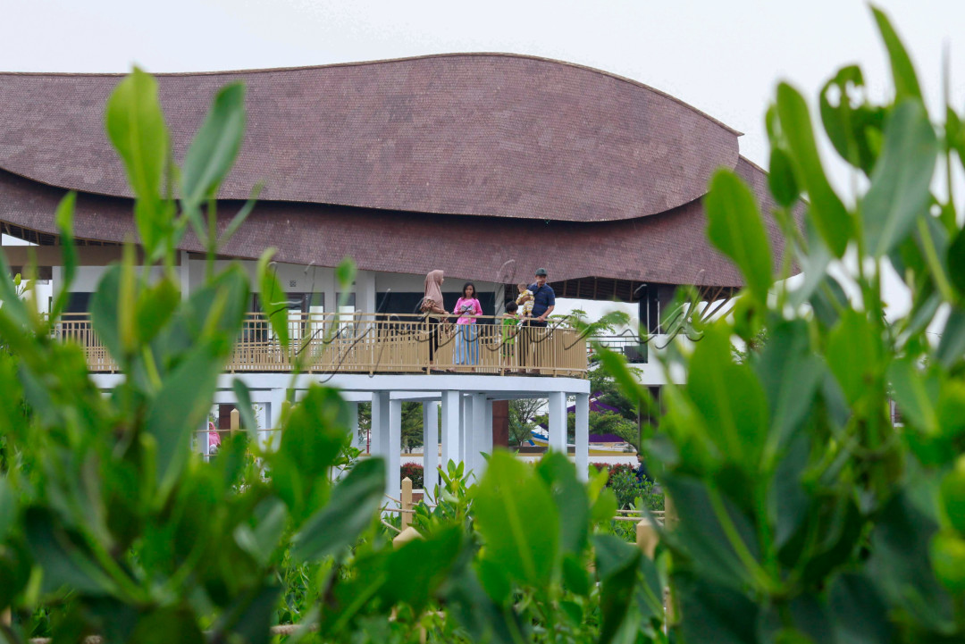 Menikmati liburan akhir pekan bersama keluarga di taman mangrove Ketapang Urban Aquaculture. Taman mangrove ini berada di Desa Ketapang, Kecamatan Mauk, Kabupaten Tangerang.