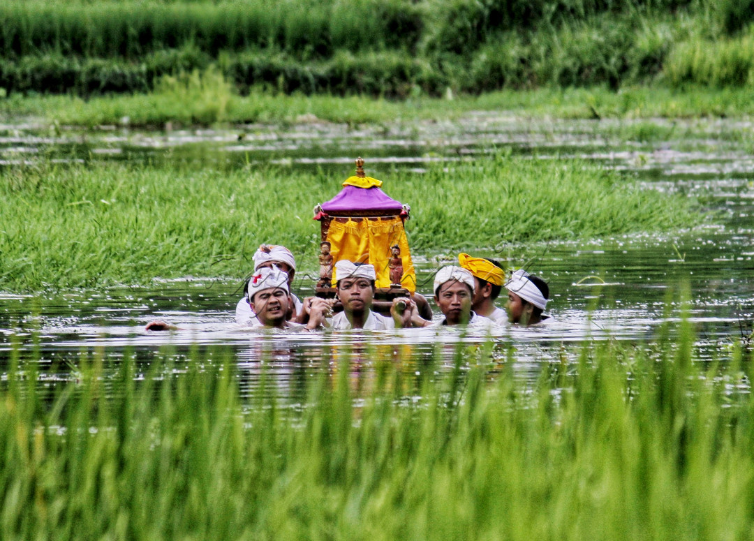 Tradisi Jempana Meyab adalah tradisi Agraris dimana Ida yang berstanakan sebuah Jempana yang diusung oleh pengempon Pura dan masyarakat sekitar mulai dari orang dewasa sampai anak kecil yang notabene adalah laki laki. Beliau melakukan ritual atau tradisi&nbsp; wewidangan Desa setempat dengan tujuan untuk memberi penganugrahan kesuburan.&nbsp;